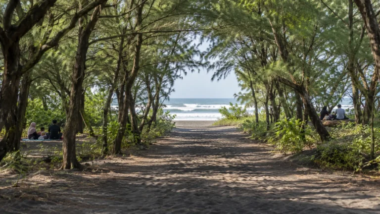 Foto Pantai Goa Cemara