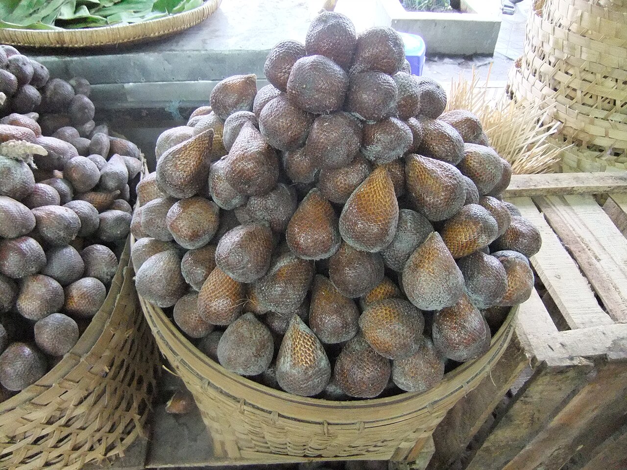 Salak pondoh Sleman sebagai oleh-oleh buah khas Jogja